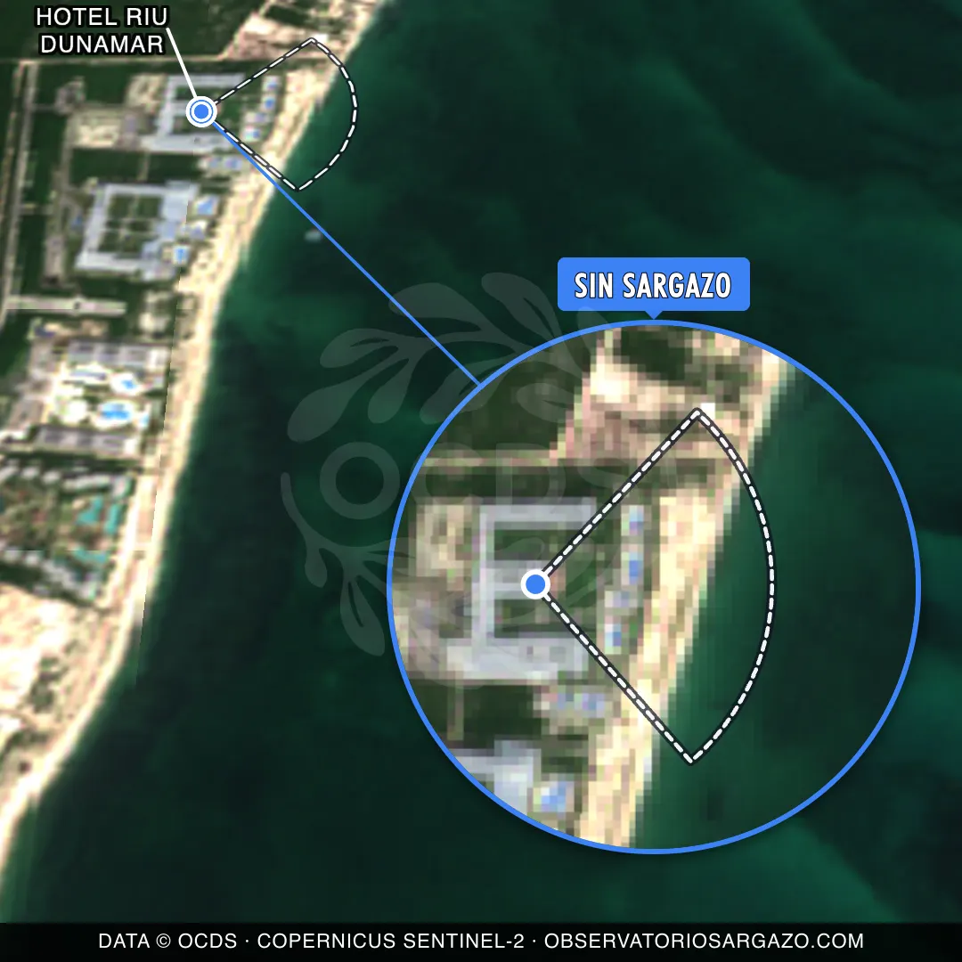 Stato del sargasso — Hotel Riu Dunamar