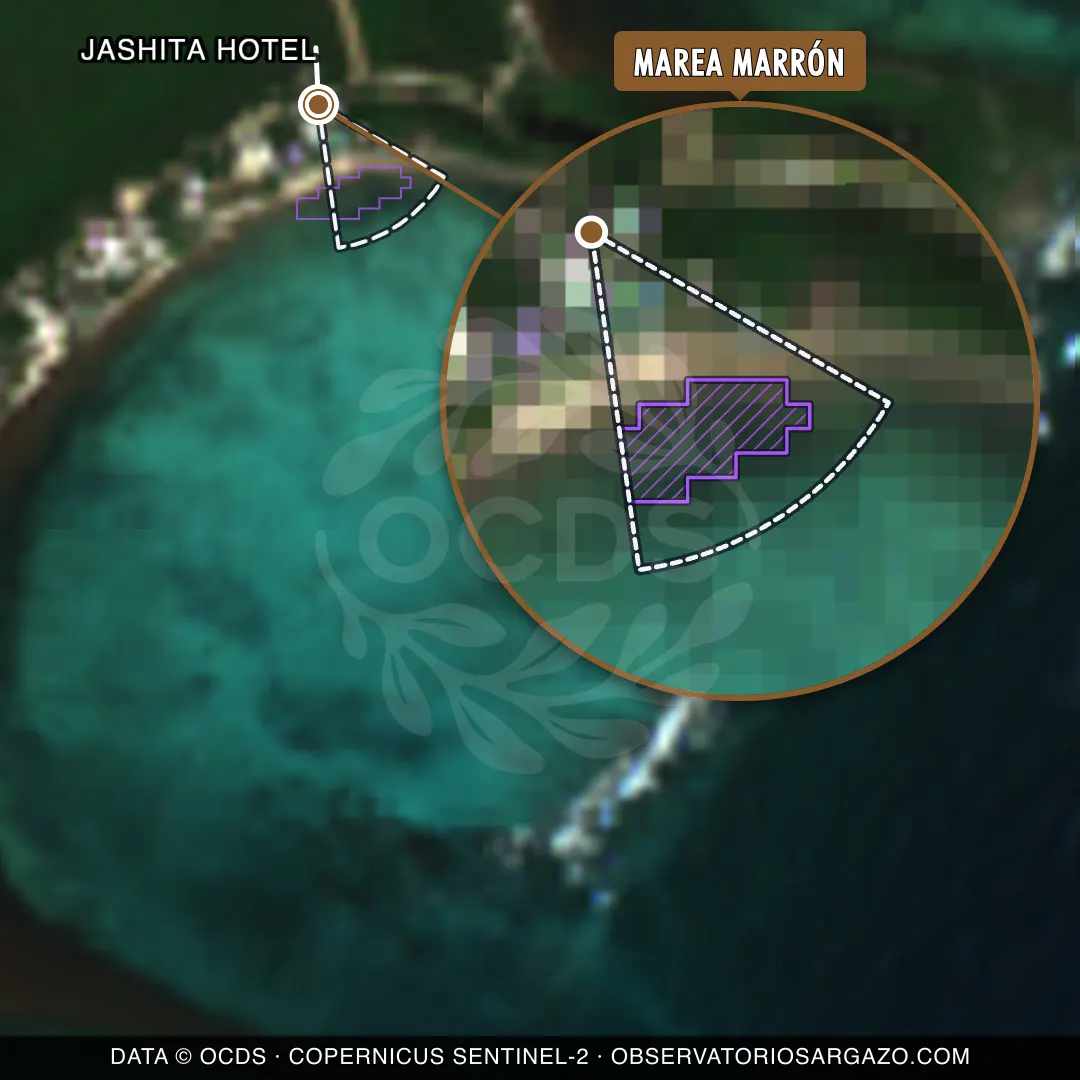 Stato del sargasso — Jashita Hotel