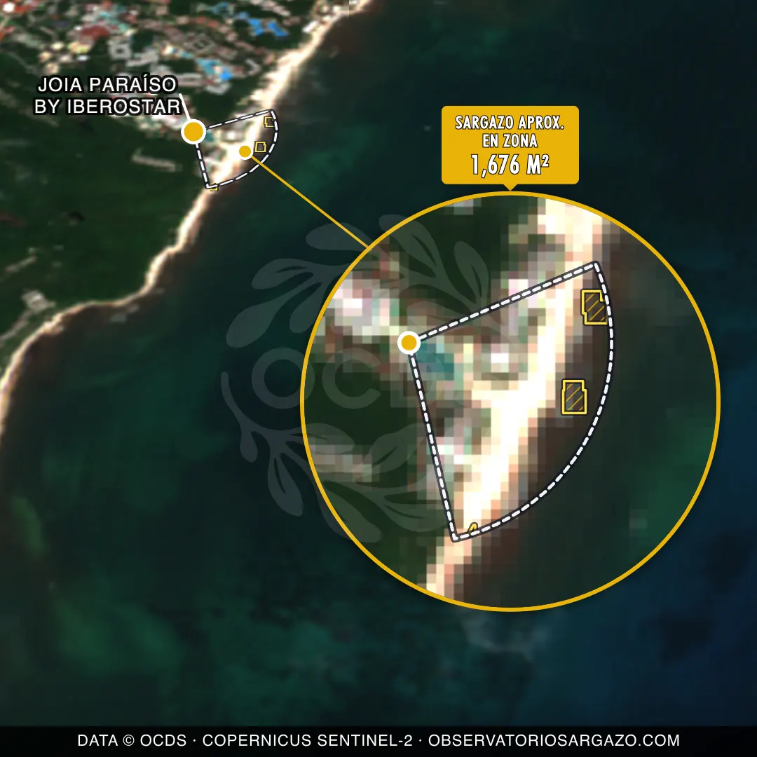 État des sargasses — JOIA Paraíso by Iberostar