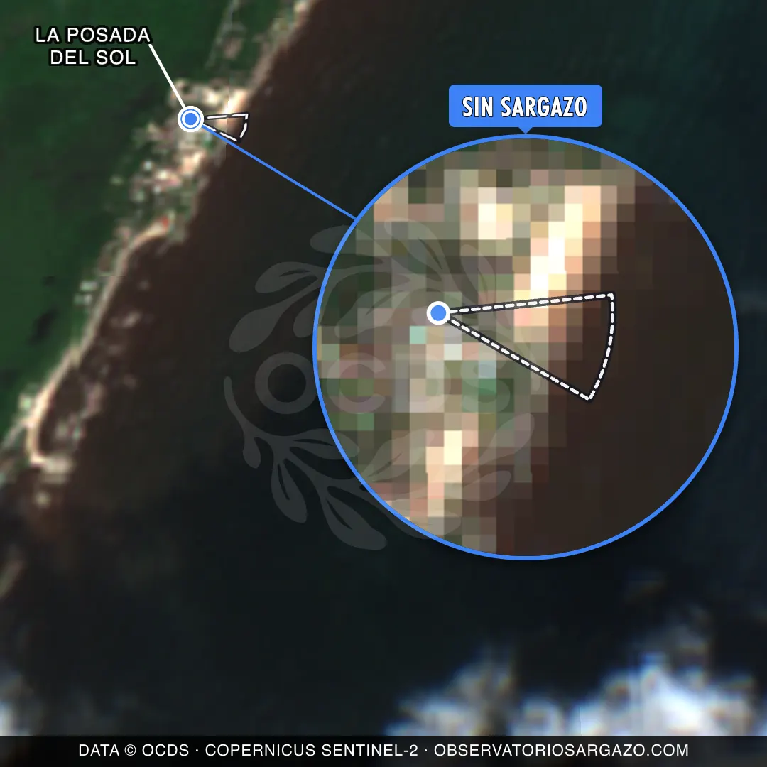 Stato del sargasso — La Posada del Sol