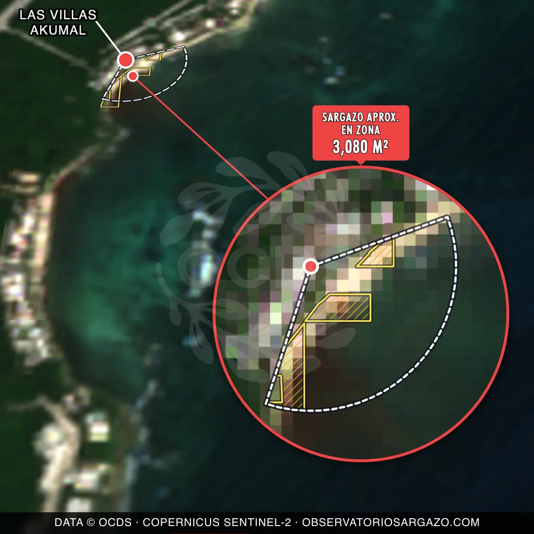 État des sargasses — Las Villas Akumal