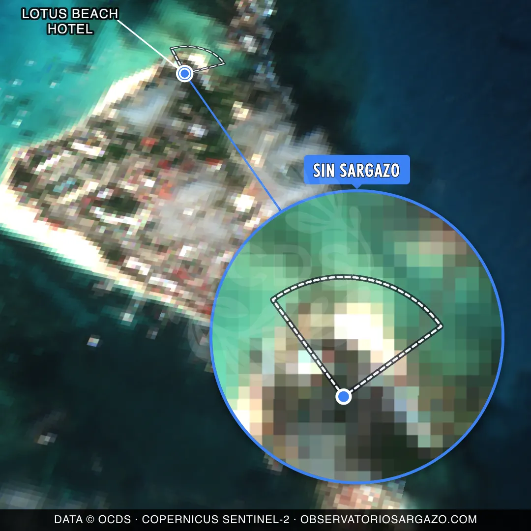 Stato del sargasso — Lotus Beach Hotel