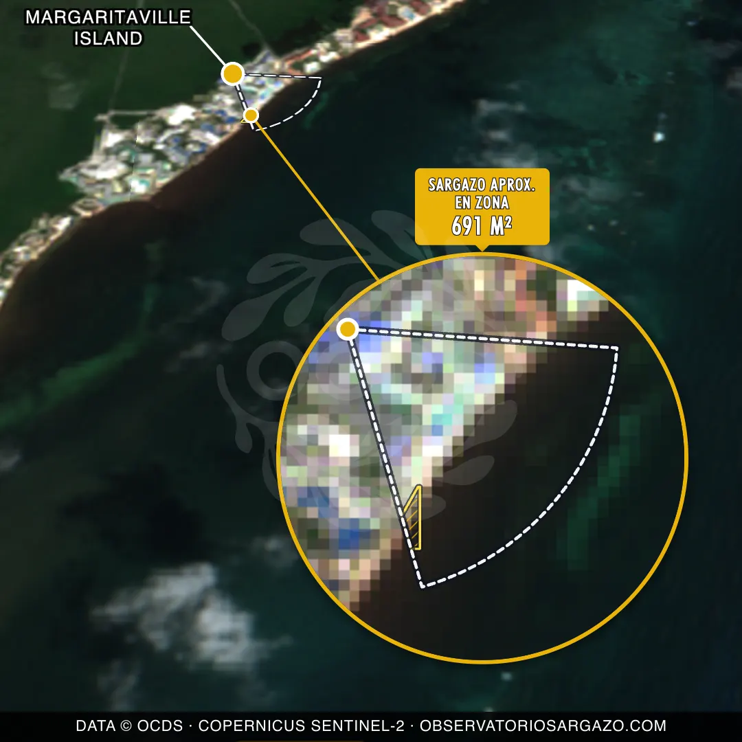 État des sargasses — Margaritaville Island