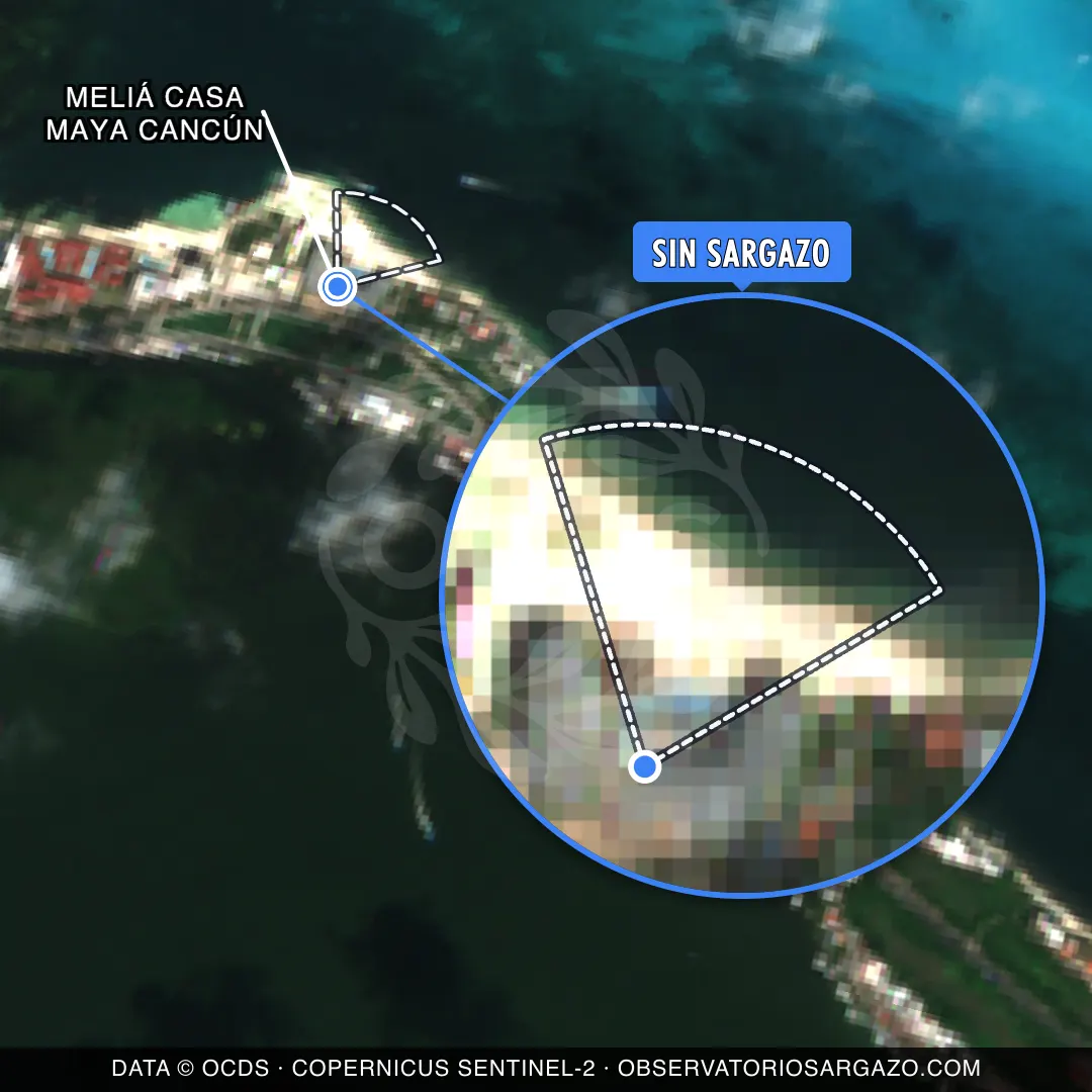 Stato del sargasso — Meliá Casa Maya Cancún