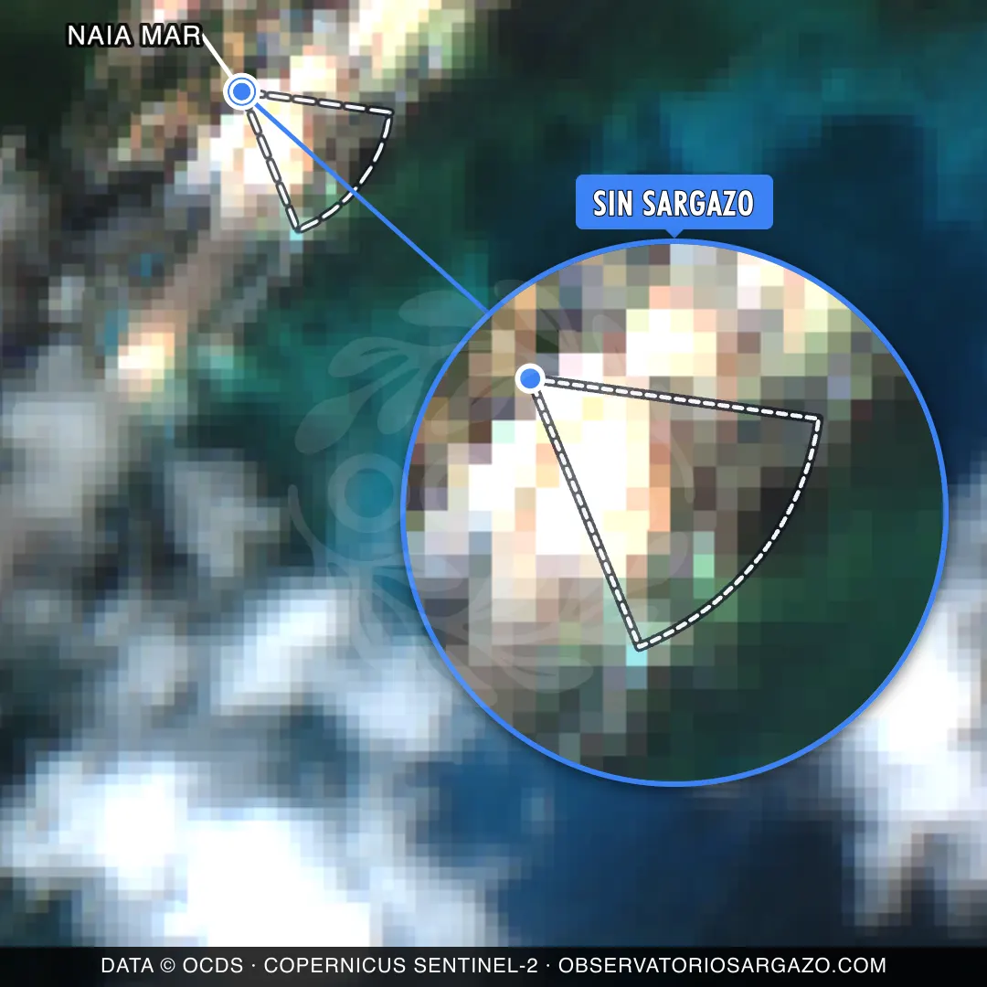 État des sargasses — NAIA MAR