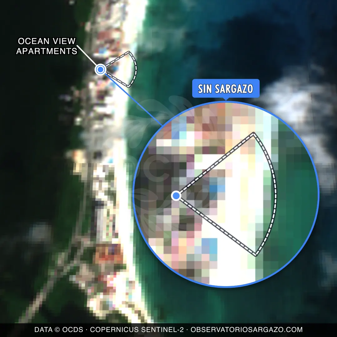 Estado del sargazo — Ocean View Apartments