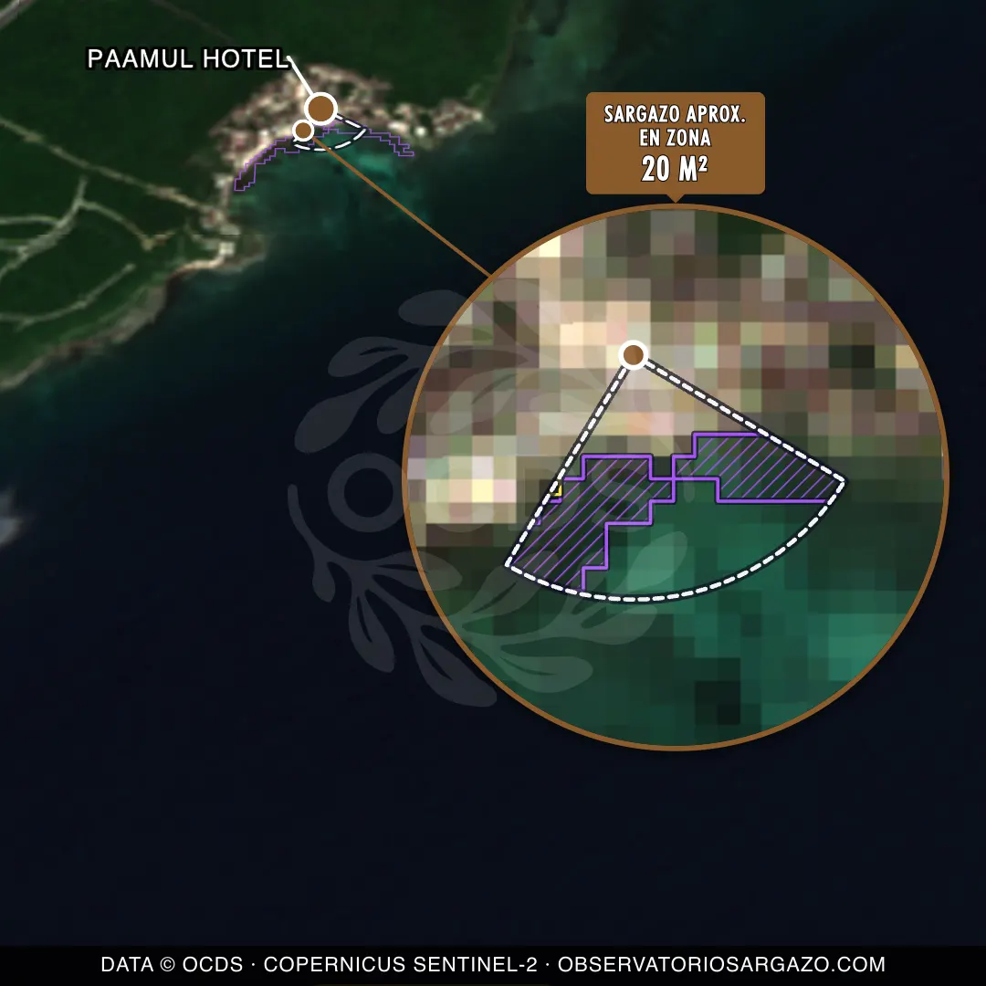 Stato del sargasso — Paamul Hotel