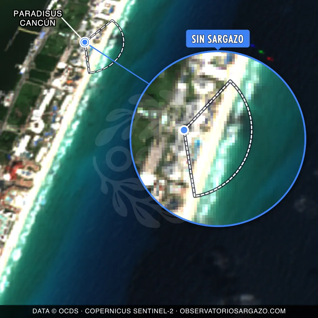 État des sargasses — Paradisus Cancún