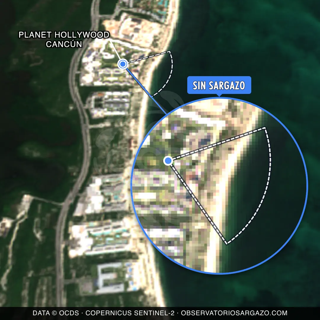 État des sargasses — Planet Hollywood Cancún