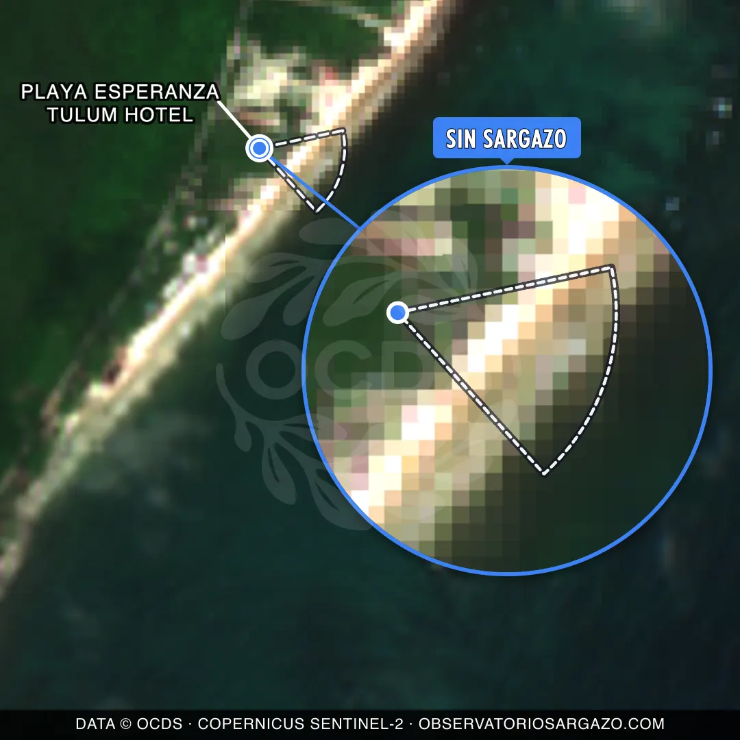 Stato del sargasso — Playa Esperanza Tulum Hotel