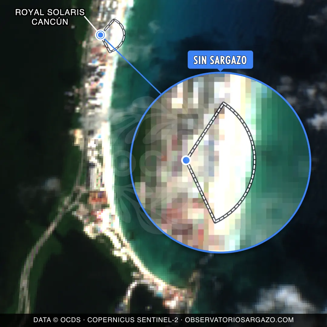 Stato del sargasso — Royal Solaris Cancún