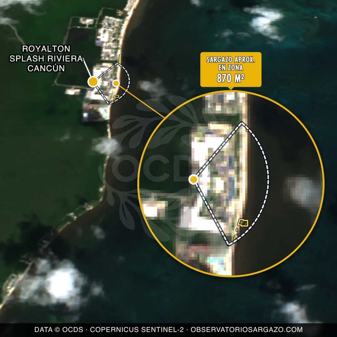 État des sargasses — Royalton Splash Riviera Cancún
