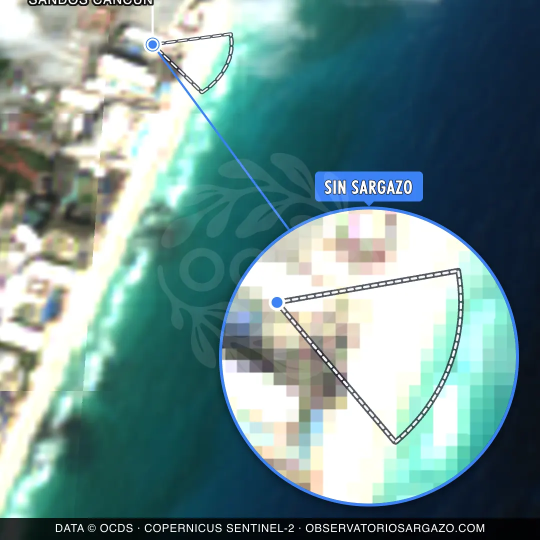 Stato del sargasso — Sandos Cancún