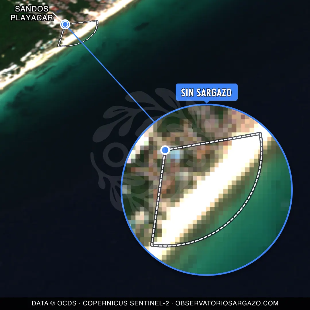 État des sargasses — Sandos Playacar