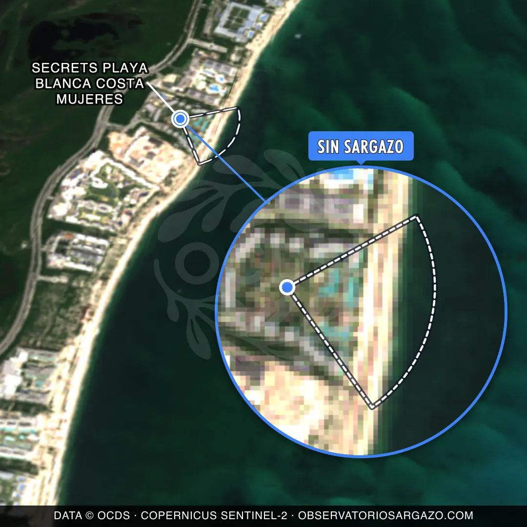 État des sargasses — Secrets Playa Blanca Costa Mujeres