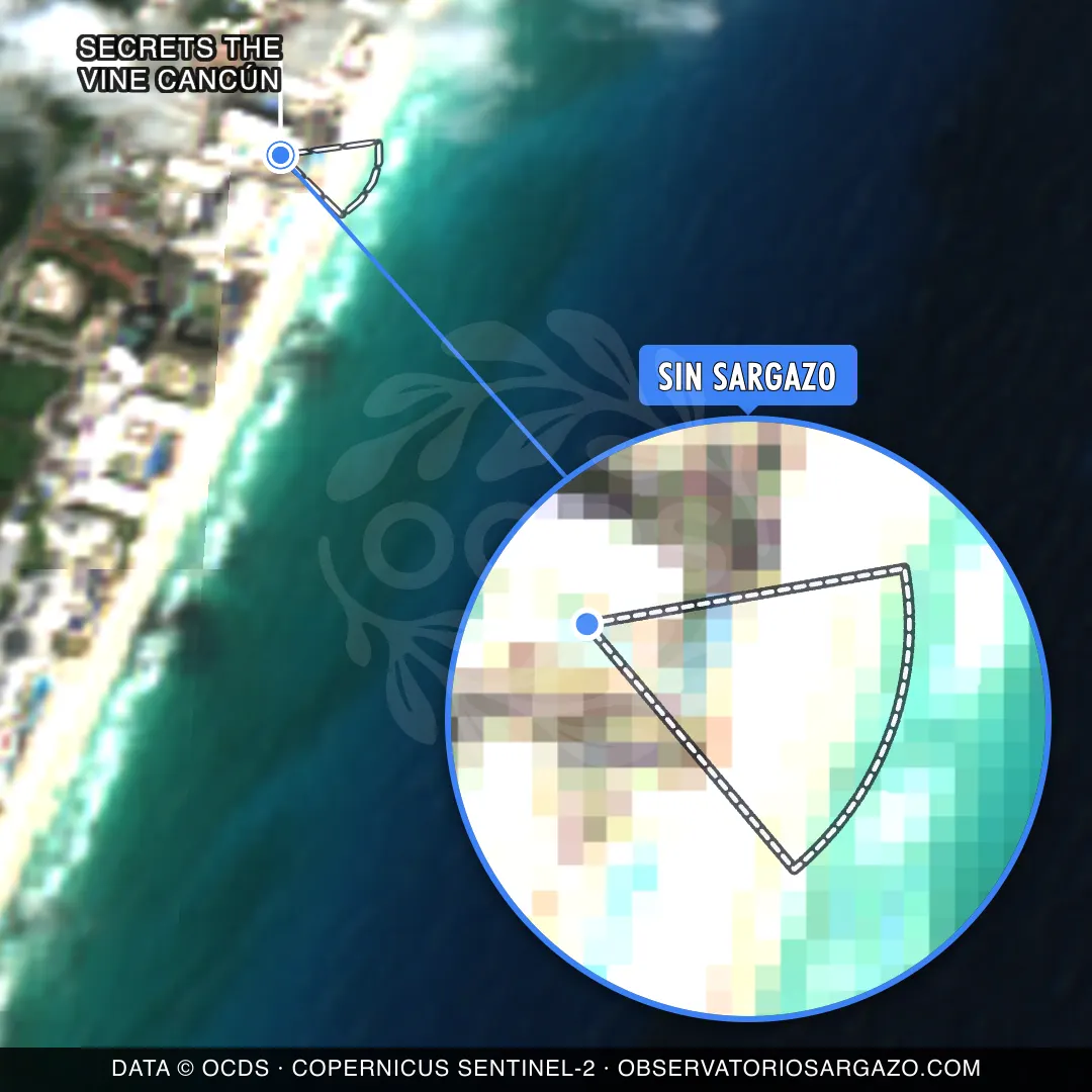 État des sargasses — Secrets The Vine Cancún