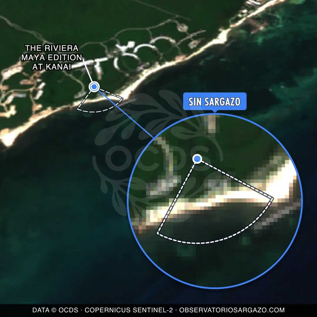 Stato del sargasso — The Riviera Maya EDITION At Kanai