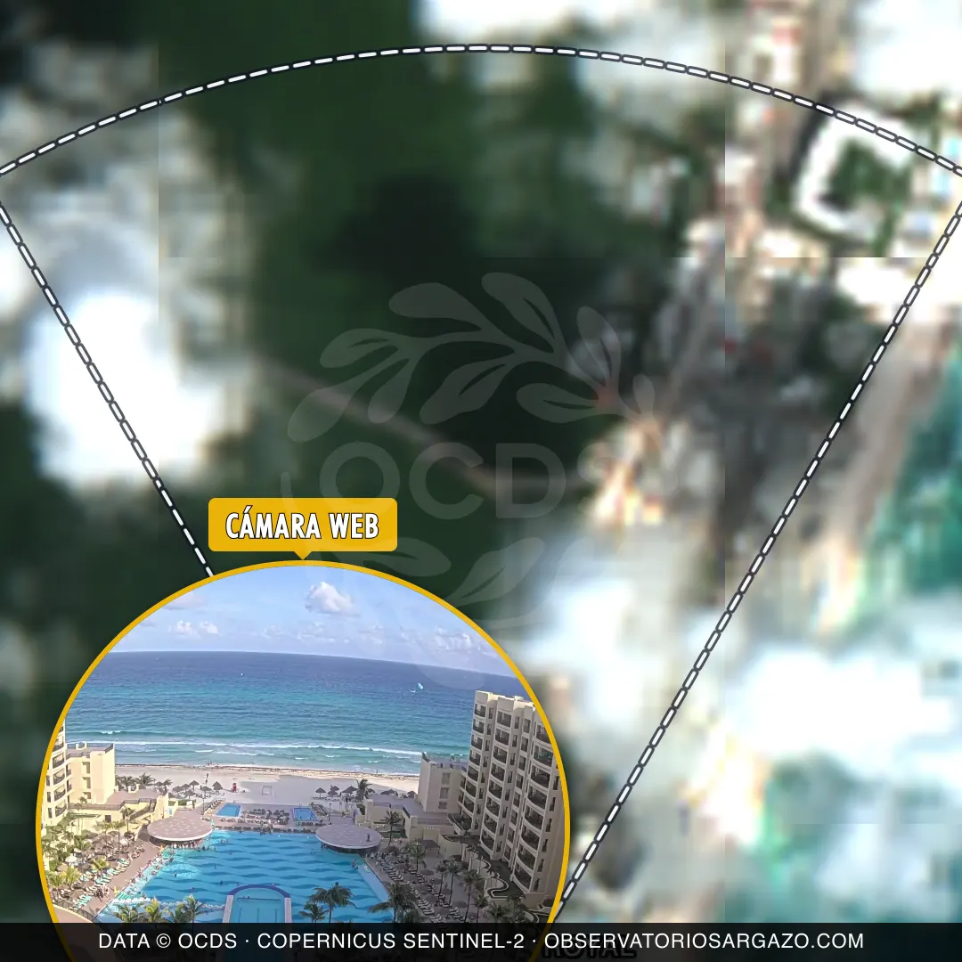 Stato del sargasso — The Royal Sands