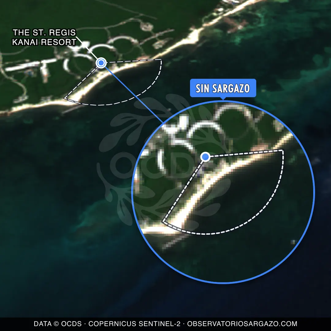 Stato del sargasso — The St. Regis Kanai Resort