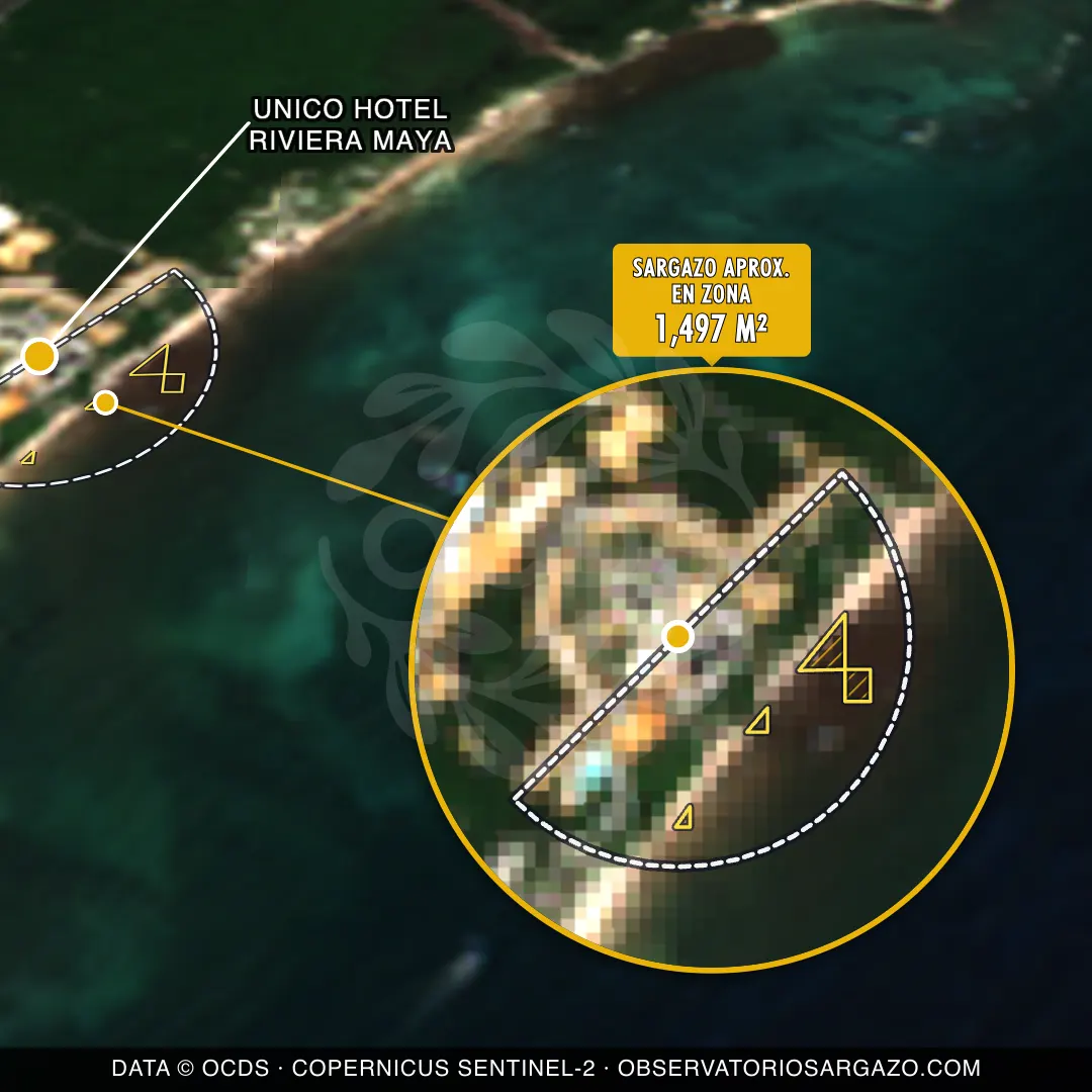 Stato del sargasso — Unico Hotel Riviera Maya