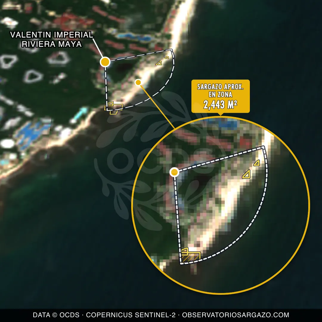 État des sargasses — Valentin Imperial Riviera Maya