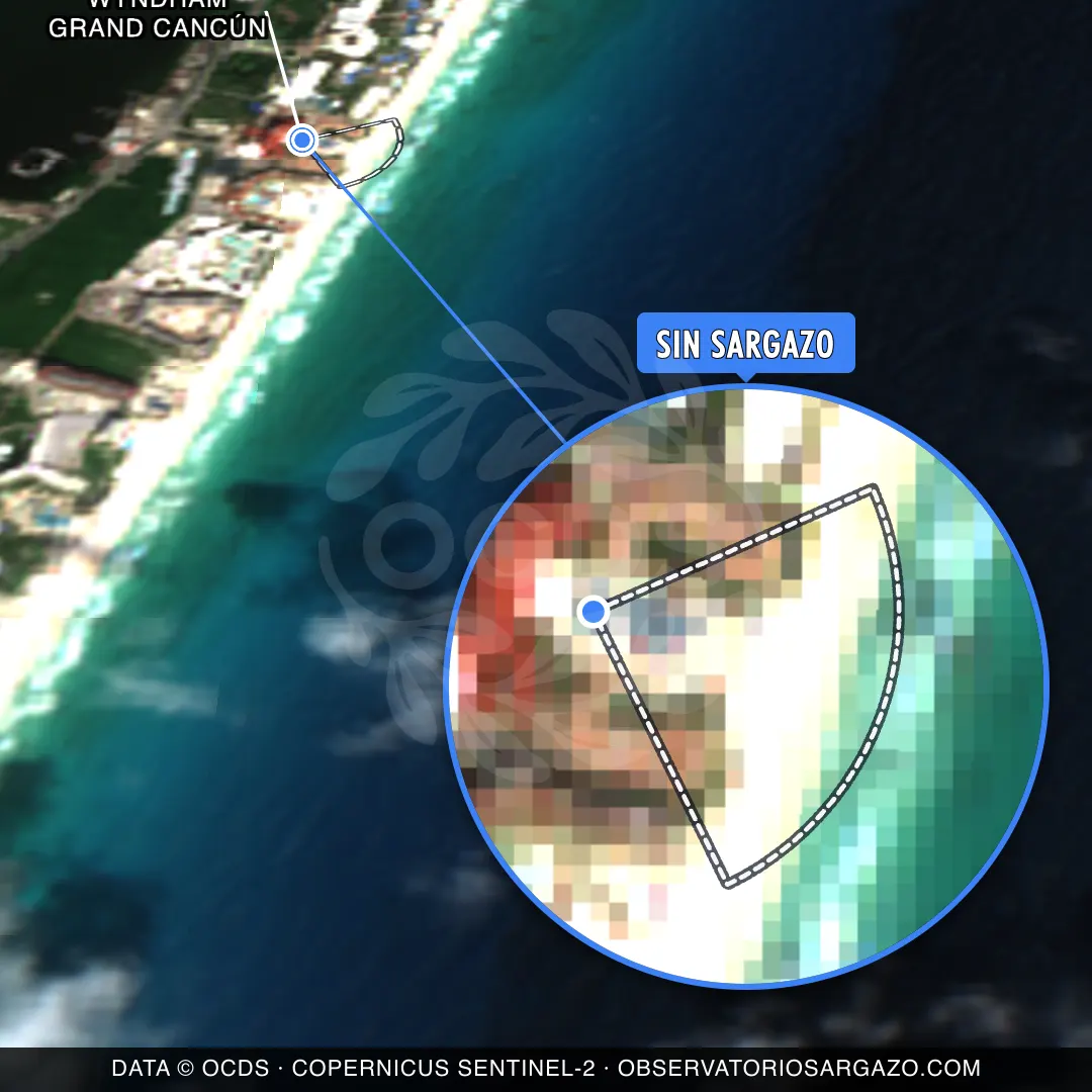 État des sargasses — Wyndham Grand Cancún