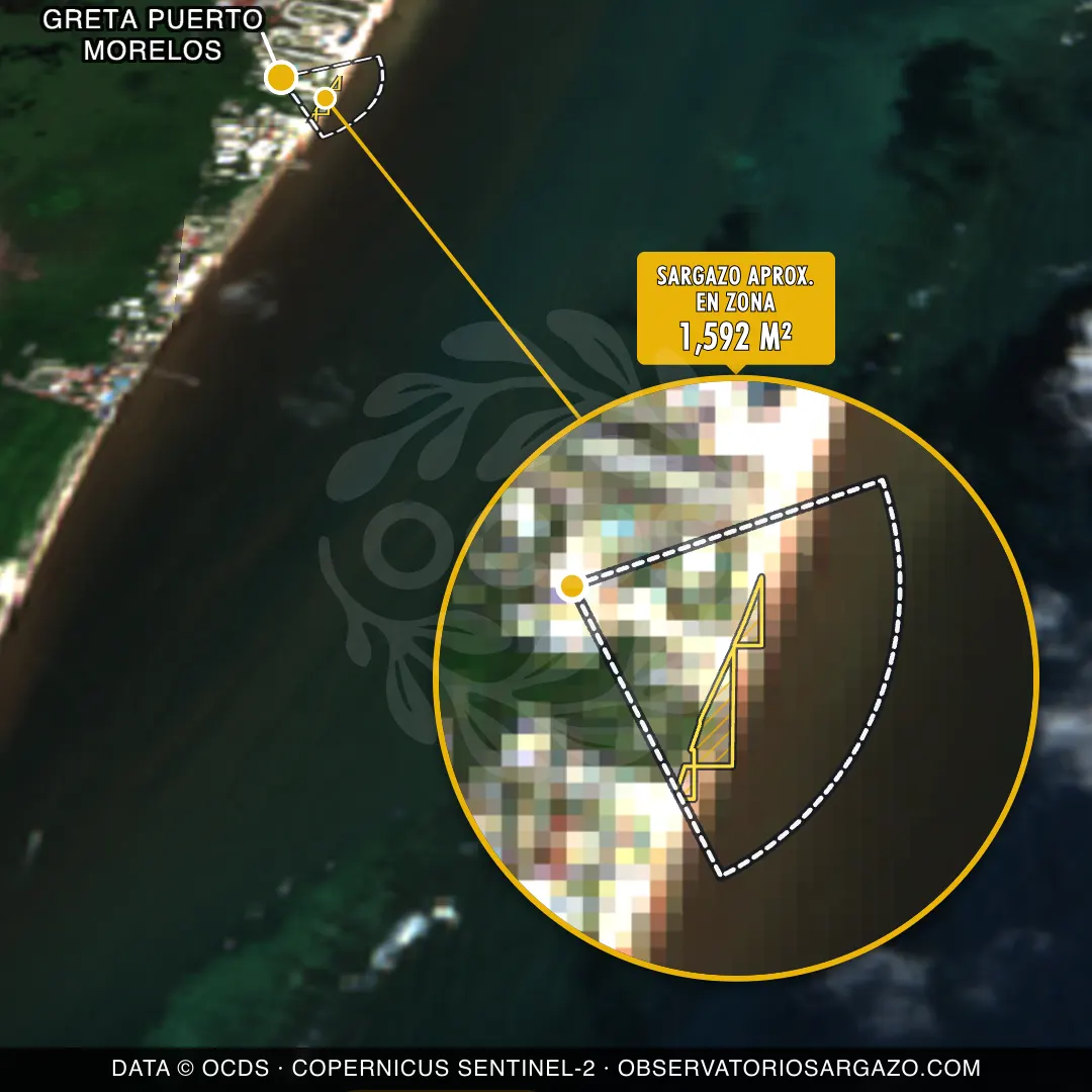 Sargassum status — Greta Puerto Morelos