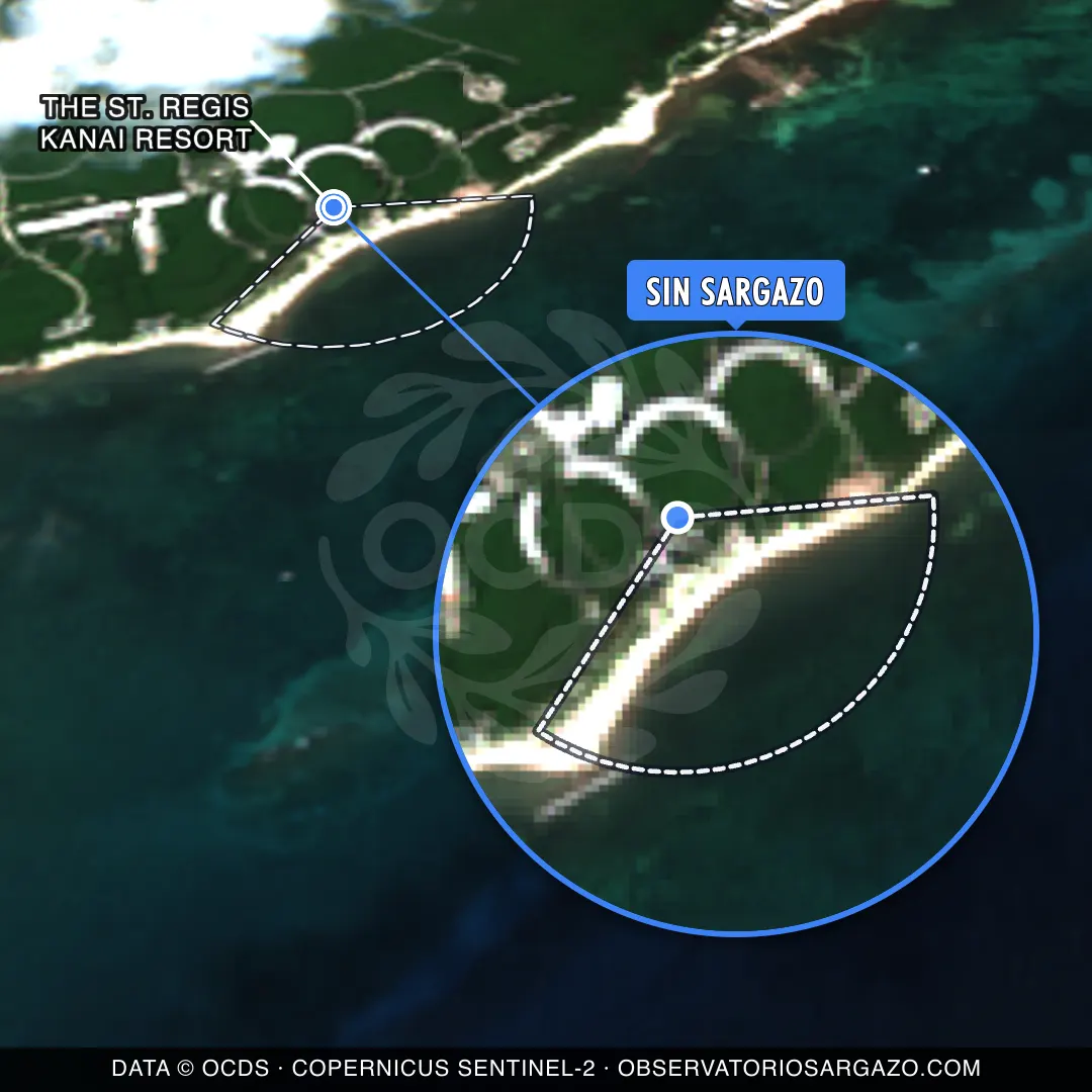 Sargassum status — The St. Regis Kanai Resort