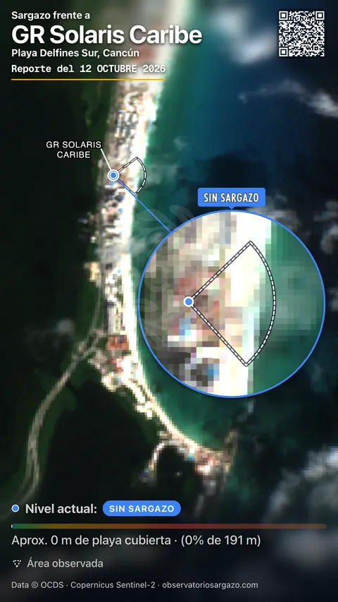 Estado del sargazo en GR Solaris Caribe, Cancún (playa Playa Delfines Sur) — sin sargazo, 12 de octubre de 2026