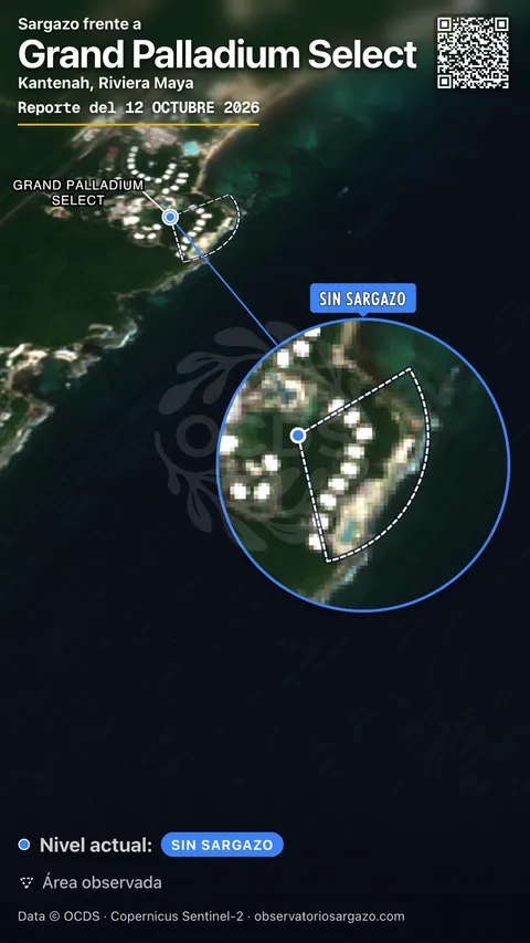 Estado del sargazo en Grand Palladium Select, Akumal (playa Kantenah) — sin sargazo, 12 de octubre de 2026