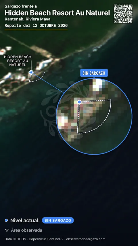 Estado del sargazo en Hidden Beach Resort Au Naturel, Puerto Aventuras (playa Kantenah) — sin sargazo, 12 de octubre de 2026