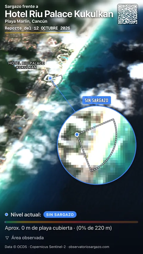 Estado del sargazo en Hotel Riu Palace Kukulkan, Cancún (playa Playa Marlin) — sin sargazo, 12 de octubre de 2026
