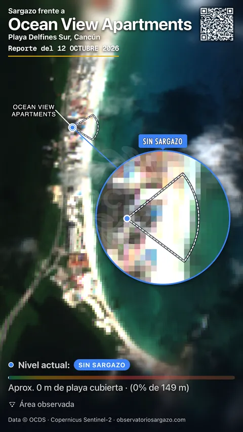 Estado del sargazo en Ocean View Apartments, Cancún (playa Playa Delfines Sur) — sin sargazo, 12 de octubre de 2026