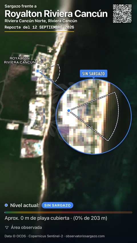 Estado del sargazo en Royalton Riviera Cancún, Puerto Morelos (playa Riviera Cancun Norte) — sin sargazo, 12 de septiembre de 2026