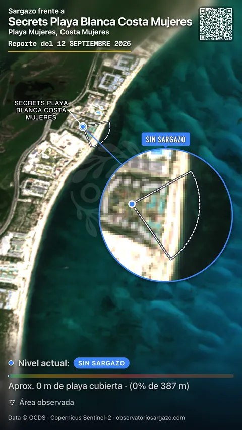 Estado del sargazo en Secrets Playa Blanca Costa Mujeres, Isla Mujeres (playa Playa Mujeres) — sin sargazo, 12 de septiembre de 2026