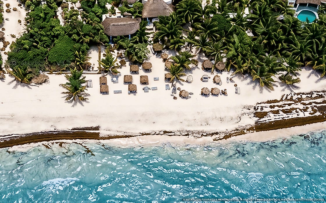 Illustration aérienne de Nest Tulum, Tulum (plage Playa Del Pueblo), Caraïbes mexicaines