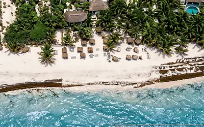 Illustrazione aerea di Nest Tulum, Tulum (spiaggia Playa Del Pueblo), Caraibi messicani