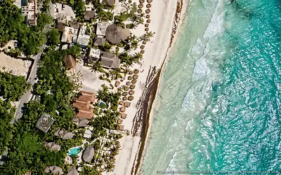 Illustrazione aerea di NIKEN, Tulum (spiaggia Playa Del Pueblo), Caraibi messicani