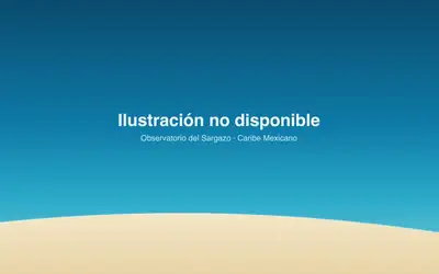 Illustrazione aerea di Mirador playa delfines, Cancún (spiaggia Playa Delfines), Caraibi messicani