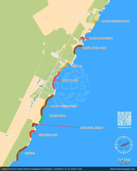Carte des sargasses à Akumal, Quintana Roo — 12 octobre 2026
