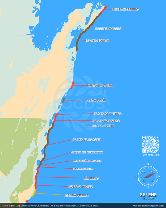 Mappa del sargasso a Costa Maya, Quintana Roo — 12 ottobre 2026