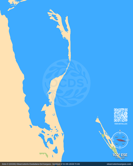 Mapa del sargazo en Costa Mujeres, Quintana Roo — 12 de septiembre de 2026