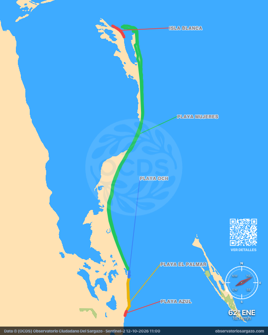 Mappa del sargasso a Costa Mujeres, Quintana Roo — 12 ottobre 2026