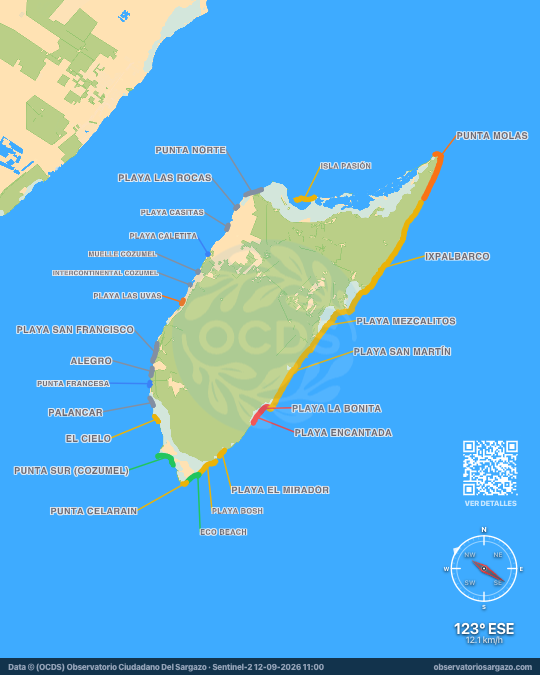 Mapa del sargazo en Cozumel, Quintana Roo — 12 de septiembre de 2026