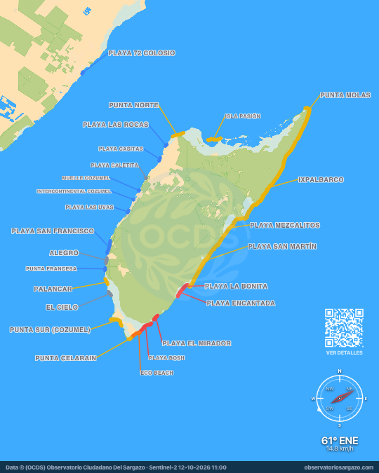 Carte des sargasses à Cozumel, Quintana Roo — 12 octobre 2026