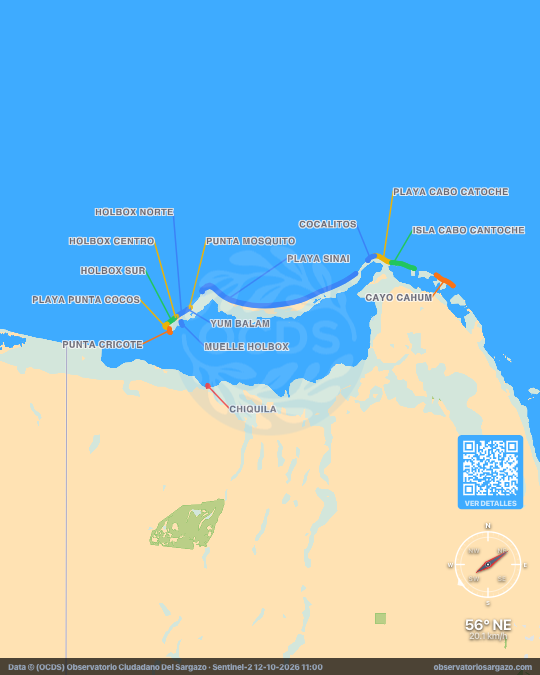 Carte des sargasses à Holbox, Quintana Roo — 12 octobre 2026