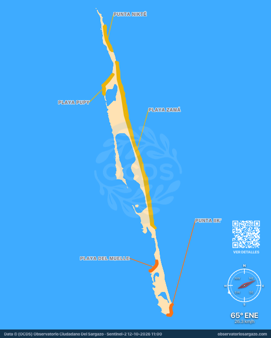 Carte des sargasses à Isla Contoy, Quintana Roo — 12 octobre 2026