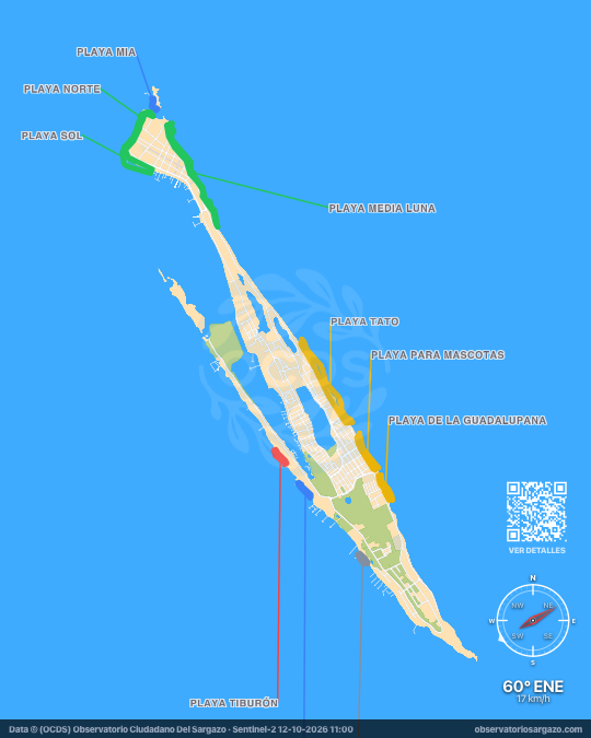 Mappa del sargasso a Isla Mujeres, Quintana Roo — 12 ottobre 2026