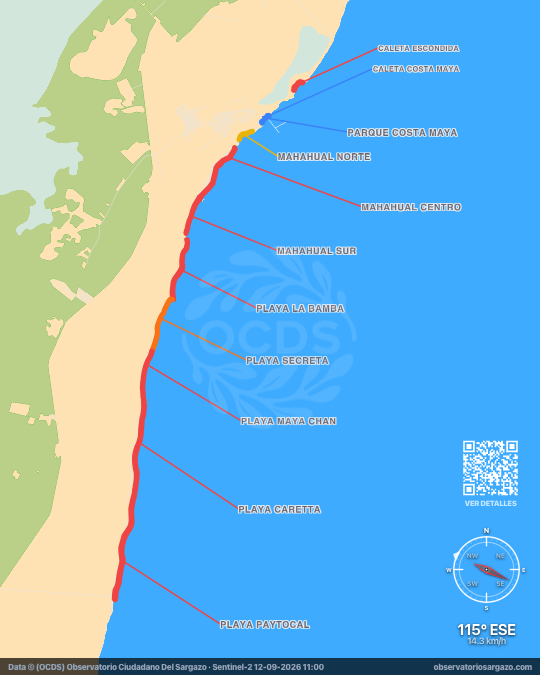 Mapa del sargazo en Mahahual, Quintana Roo — 12 de septiembre de 2026