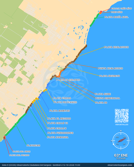 Mappa del sargasso a Playa del Carmen, Quintana Roo — 12 ottobre 2026